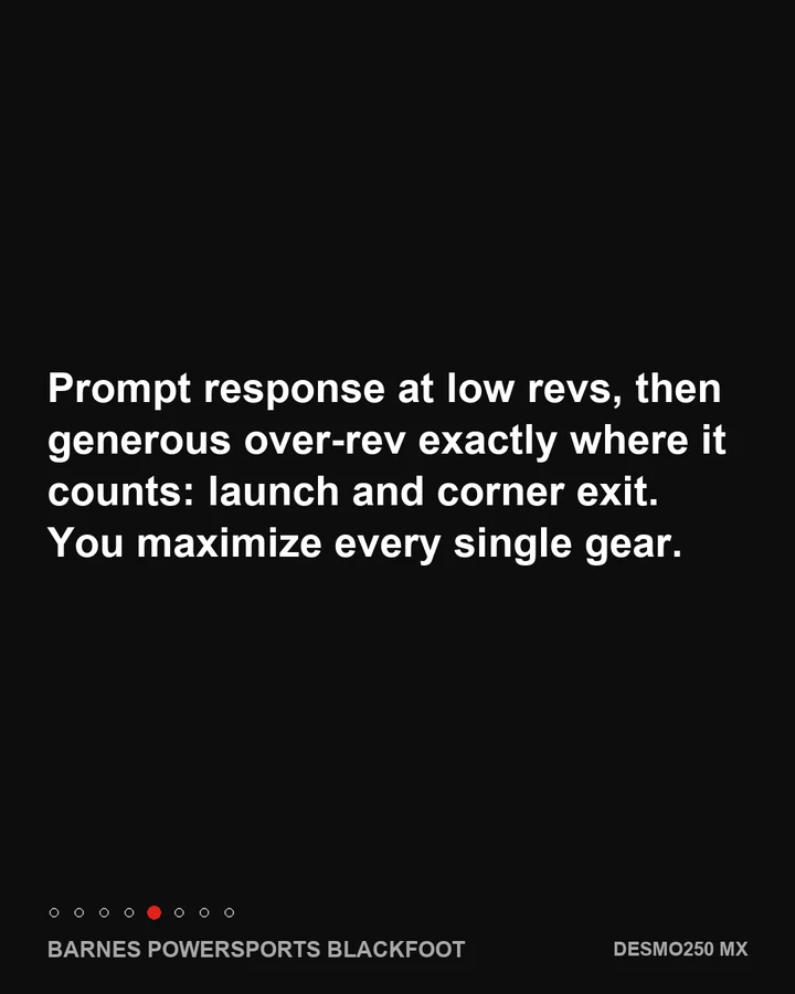 Desmo250 MX: 15,000 rpm, explained, slide 5 of 8