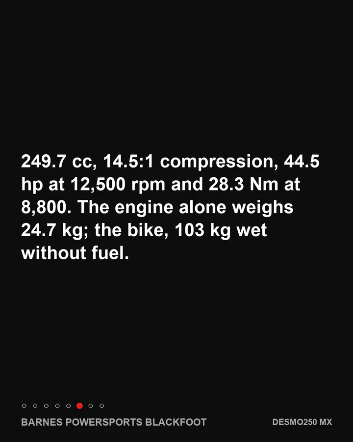 Desmo250 MX: 15,000 rpm, explained, slide 6 of 8
