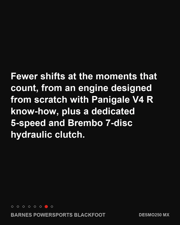 Desmo250 MX: 15,000 rpm, explained, slide 7 of 8