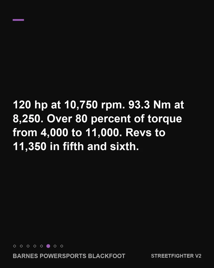 The 890 cc V2 with variable intake timing, slide 6 of 8