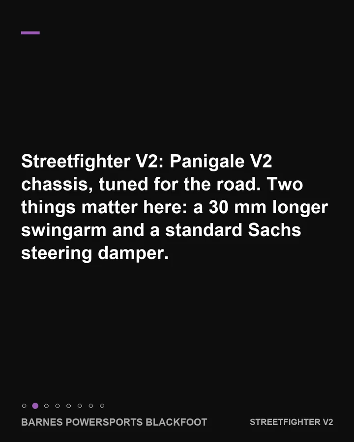 The longer swingarm and steering damper, slide 2 of 8