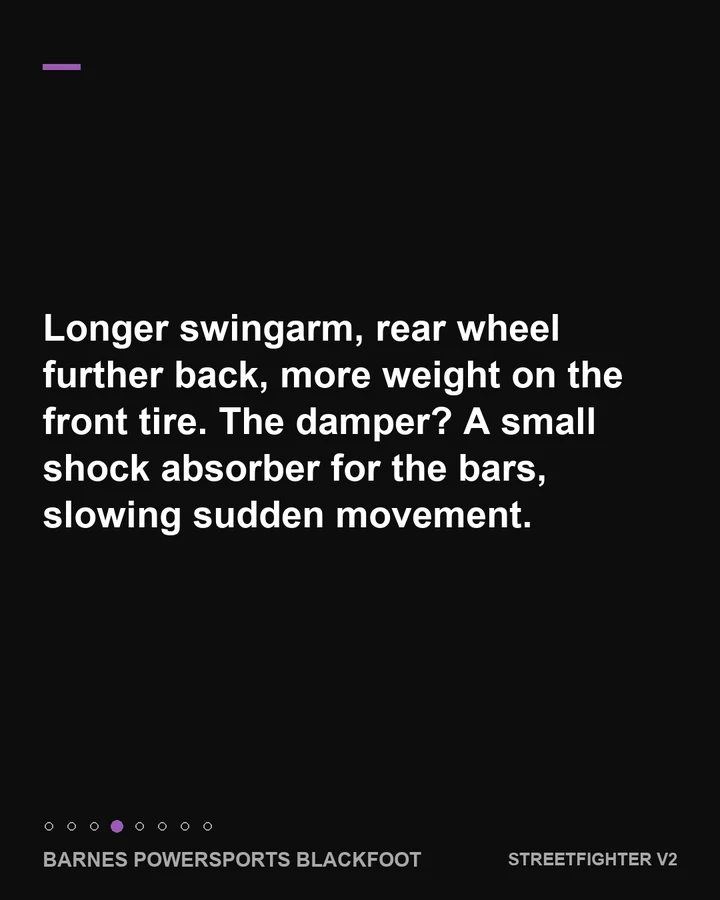 The longer swingarm and steering damper, slide 4 of 8
