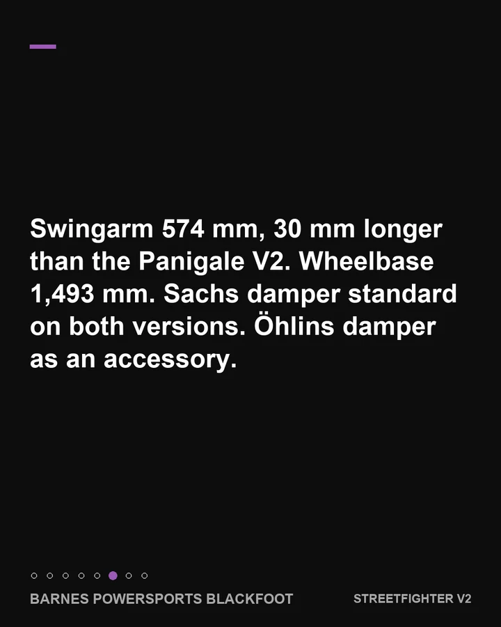 The longer swingarm and steering damper, slide 6 of 8
