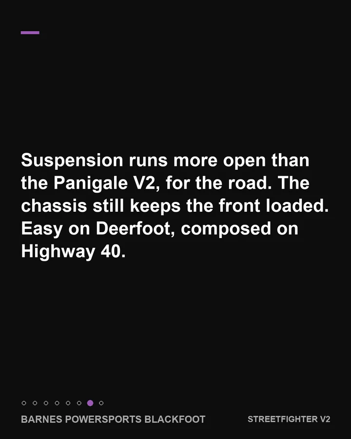 The longer swingarm and steering damper, slide 7 of 8